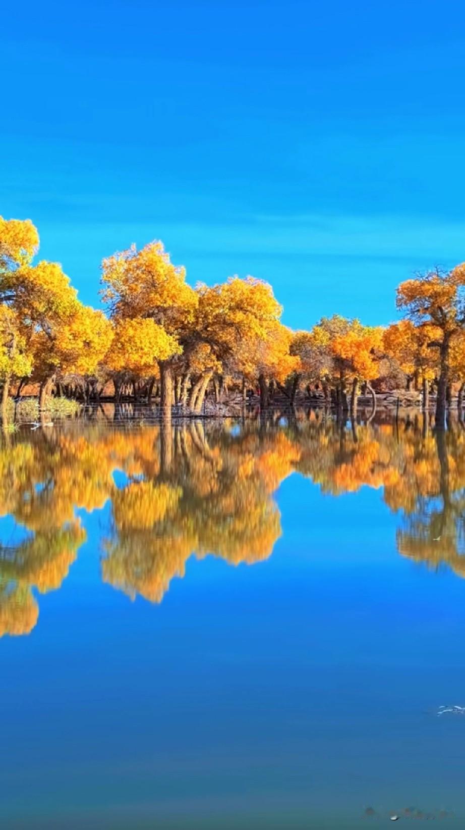 我是癌症患者，经常看看有关癌症的资料，今天看到癌症第一至三年是复发高峰期？看到专