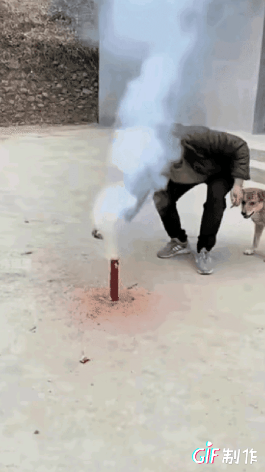 这狗子是不是该给它炖了？一家人搬新房，热热闹闹吃团圆饭。男子想着添点喜气，就