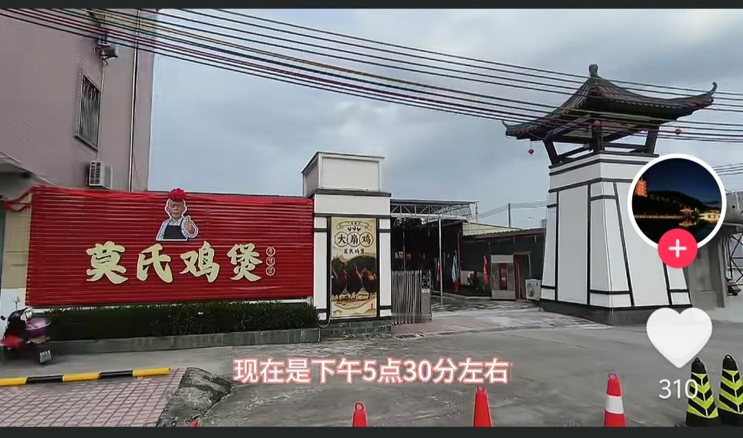 莫氏鸡煲云浮新兴分店也要凉凉了，人都没有一个。网友在昨日下午五点半左右去探店，门