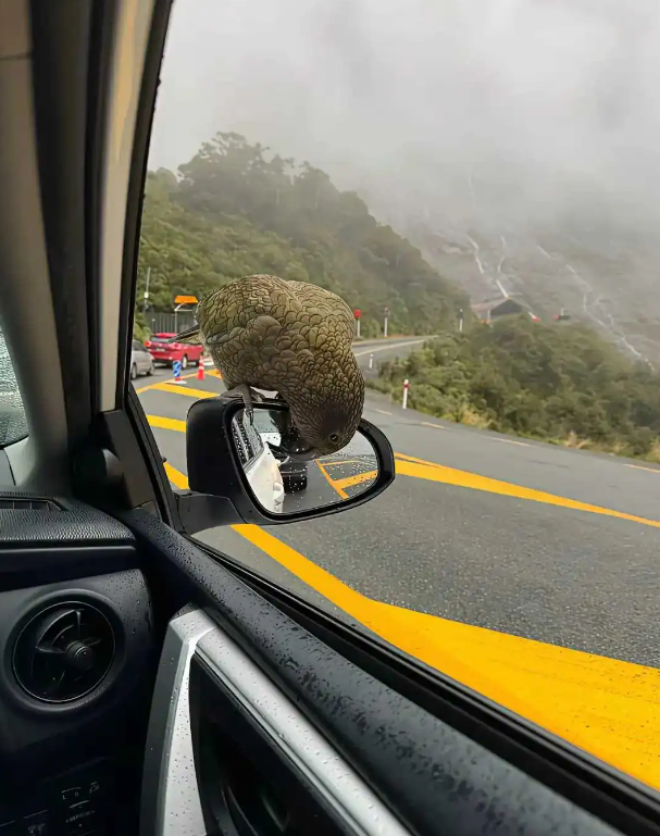 不讲武德，敲碎就飞跑了。