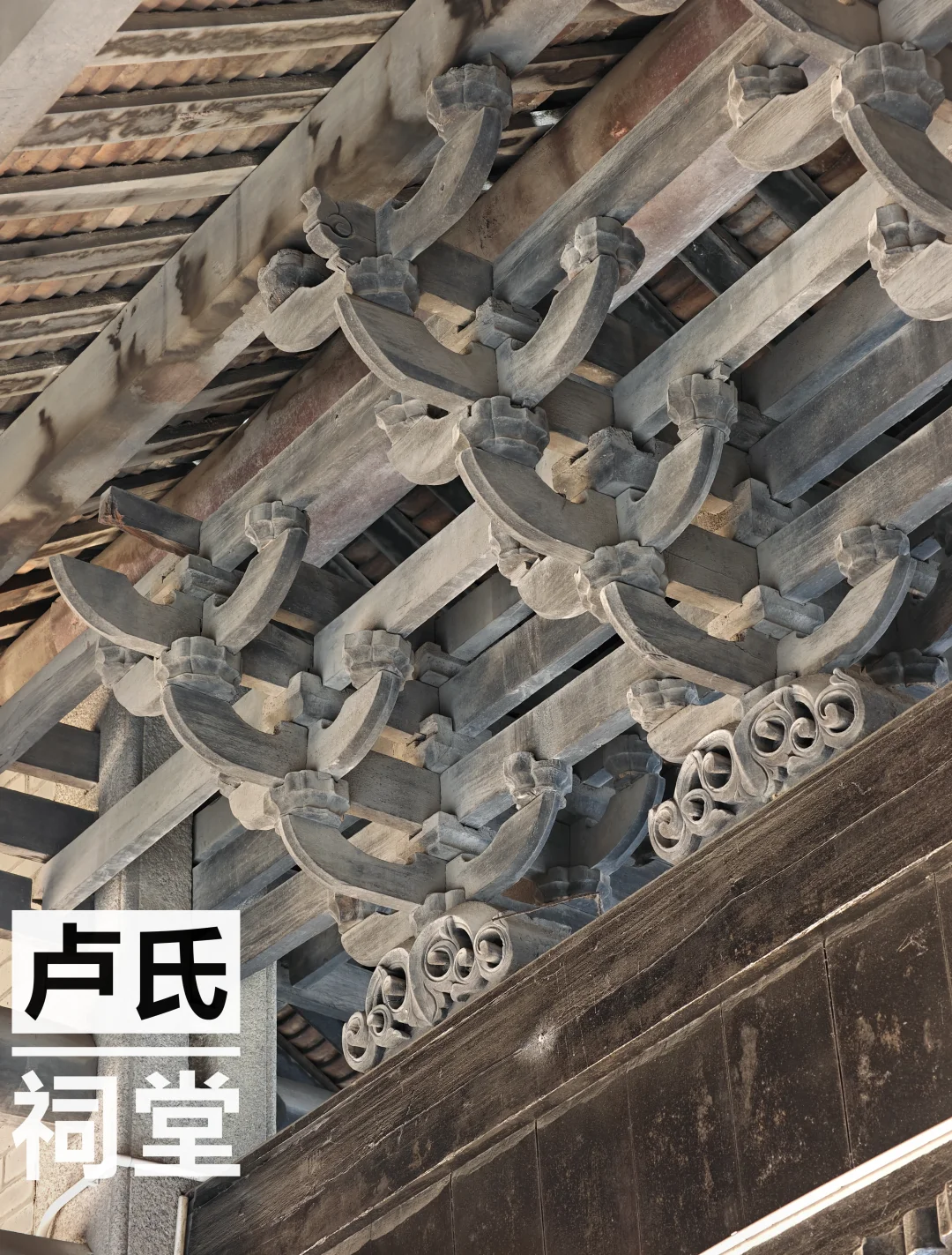 广州｜增城这座五开间祠堂，惊喜连连！