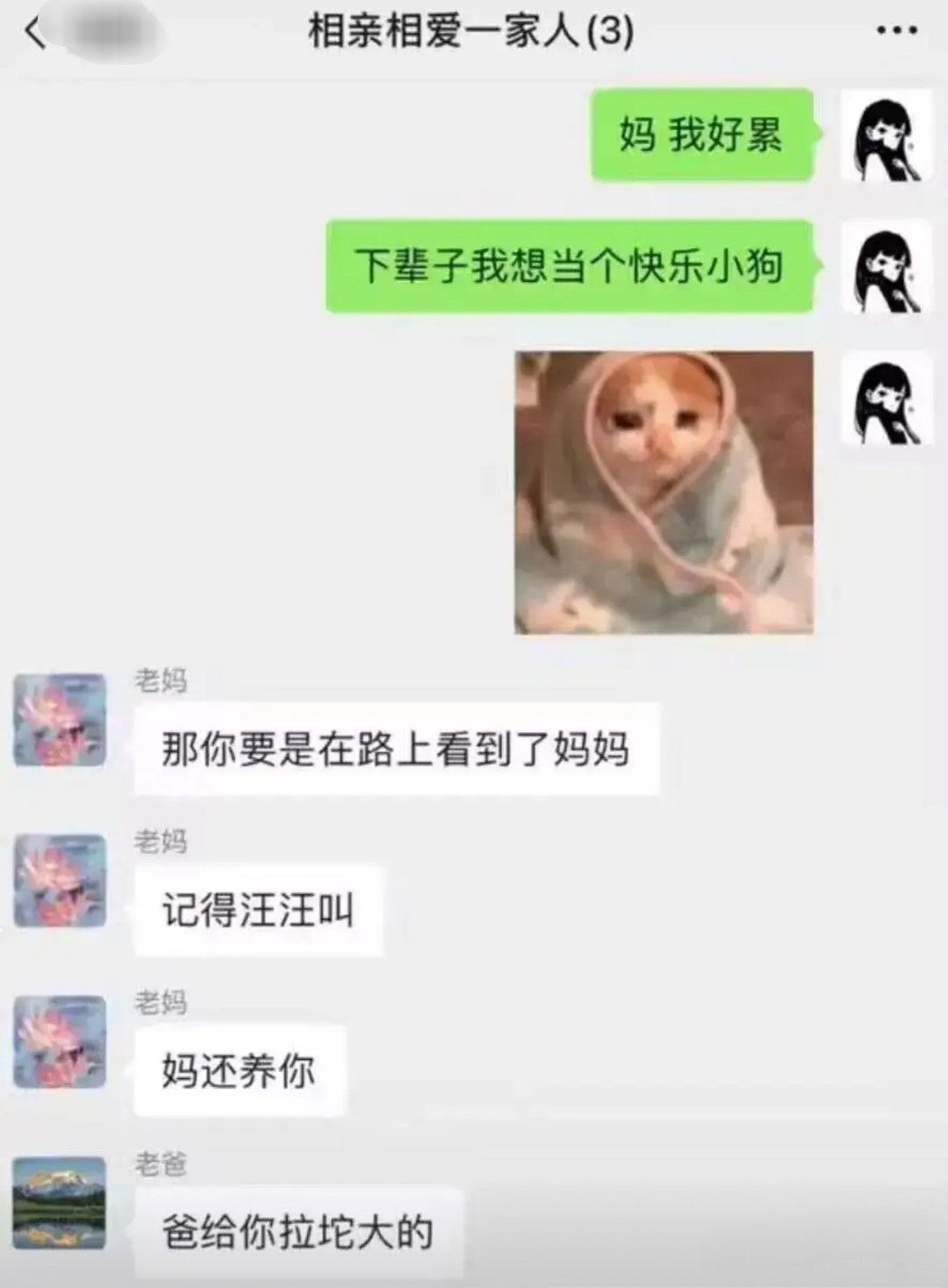 是亲爸没错了[doge]​​​