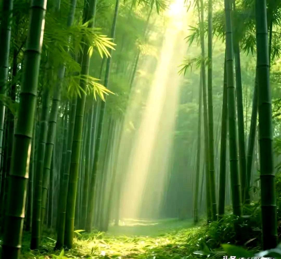 你说为什么有的家明明不穷，日子却过得鸡飞狗跳？蔡澜这话点透了：低端家庭根本不是