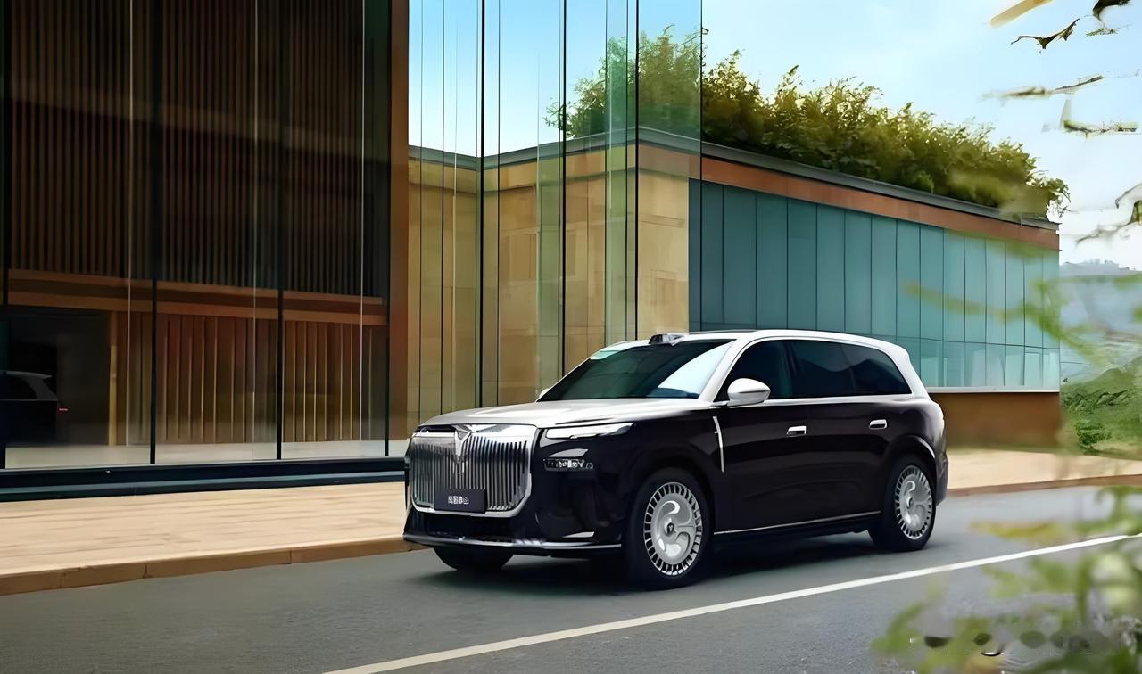 电池小于50度不能买，不是800伏不能买，没有好的辅助驾驶不能买，机械素质不高不