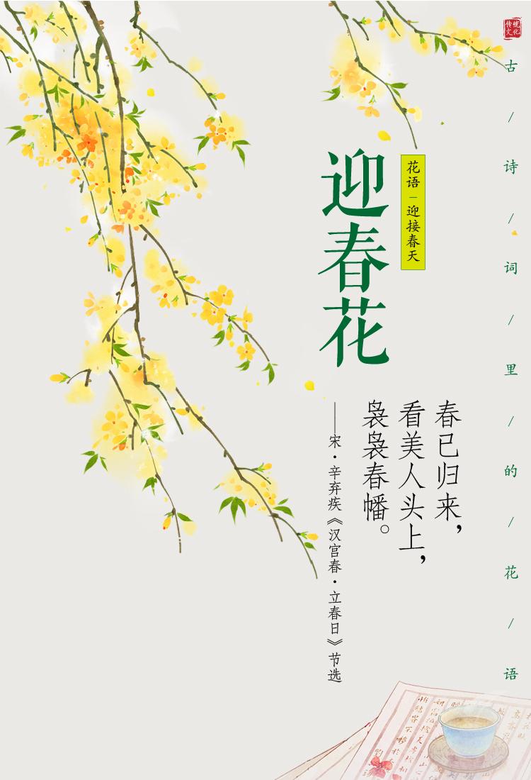古诗词里的花语3诗画节气诗词诗词鉴赏花痴诗