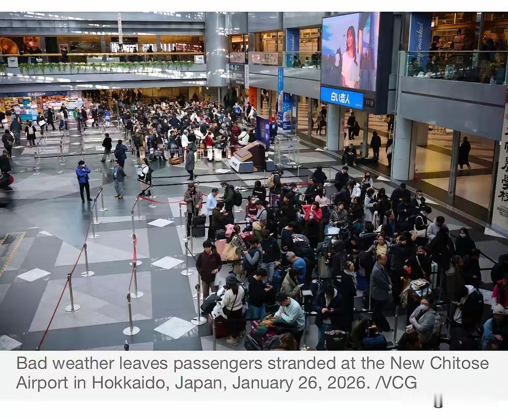 北海道滞留的中国游客，怒其不争才是真心声北海道64厘米创纪录暴雪，新千岁机
