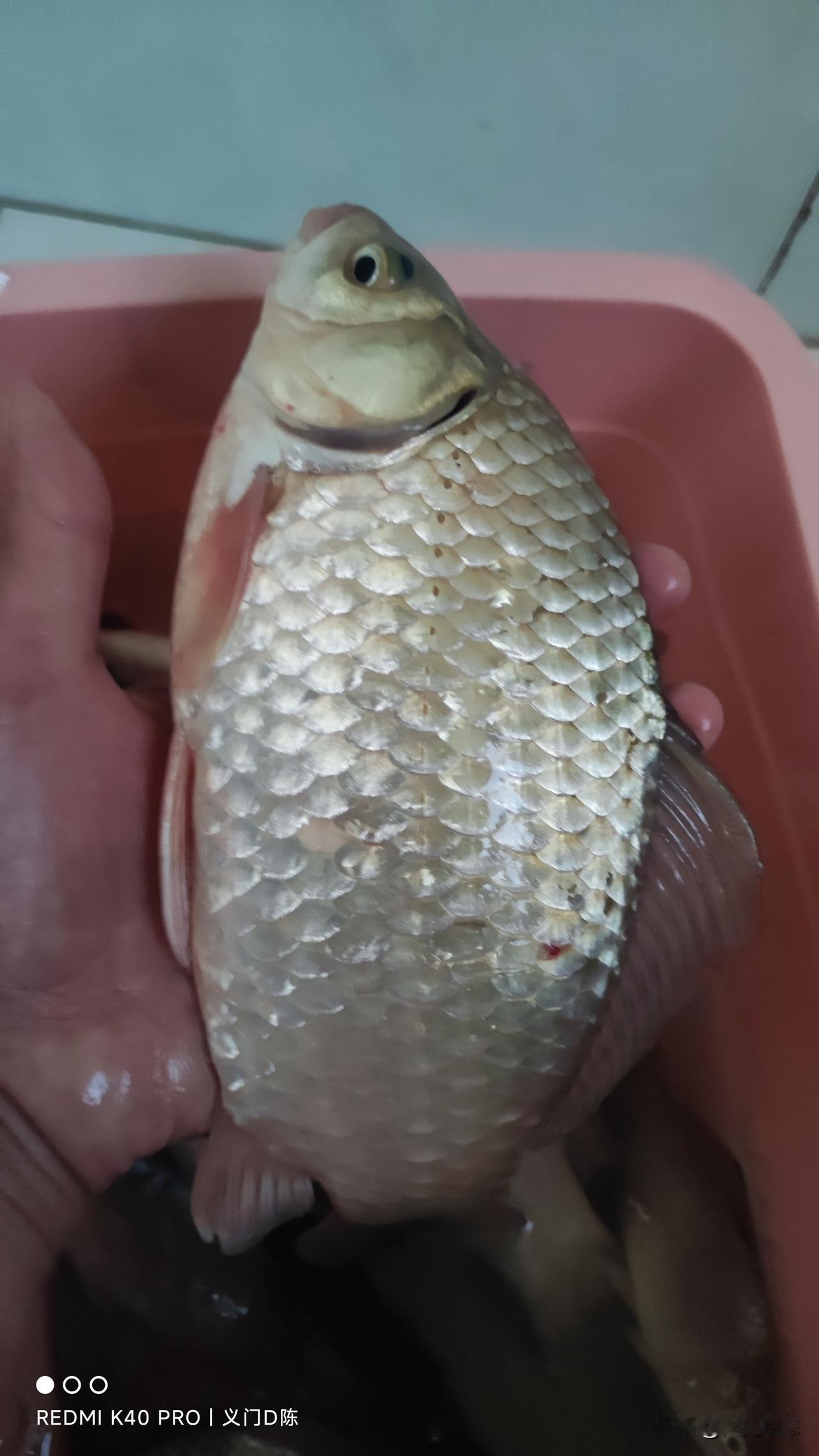 我想到一个钓鱼不空军的好办法，但需要人配合，和朋友说了他却不以为然，活该他空军啊