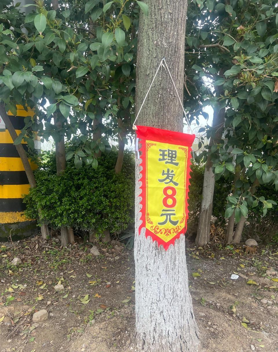 房租给不起了，出来摆摊，8块钱一个头，应该是全国最低价了吧？