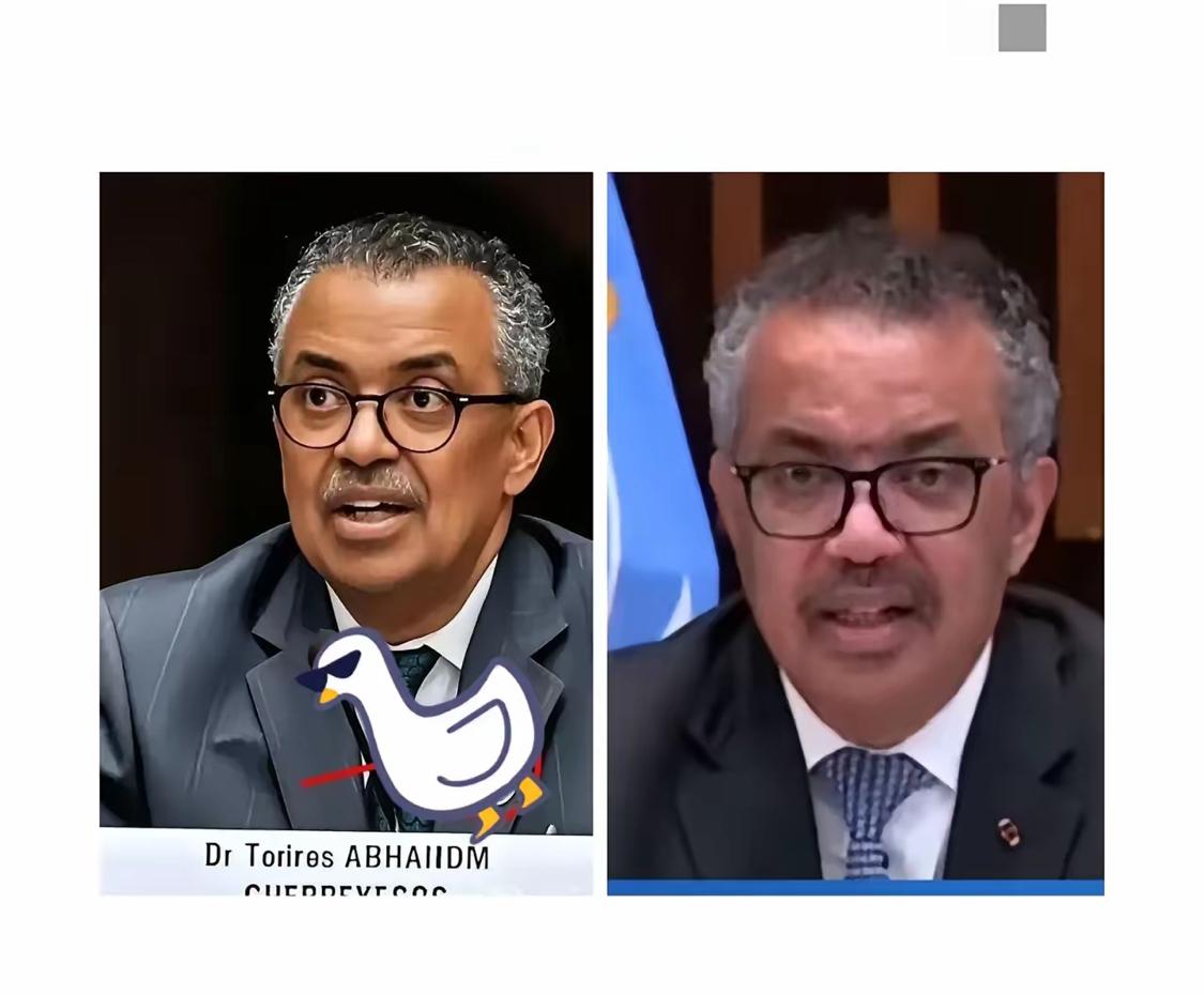 家人们，大新闻！美国一退出世卫组织，这组织就乱套啦……为了活下去，世卫组织只
