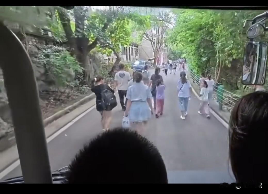 可怜之人必有可恨之处。看到一个视频。五一节，旅游巴士，遇到一群不让路的人群。