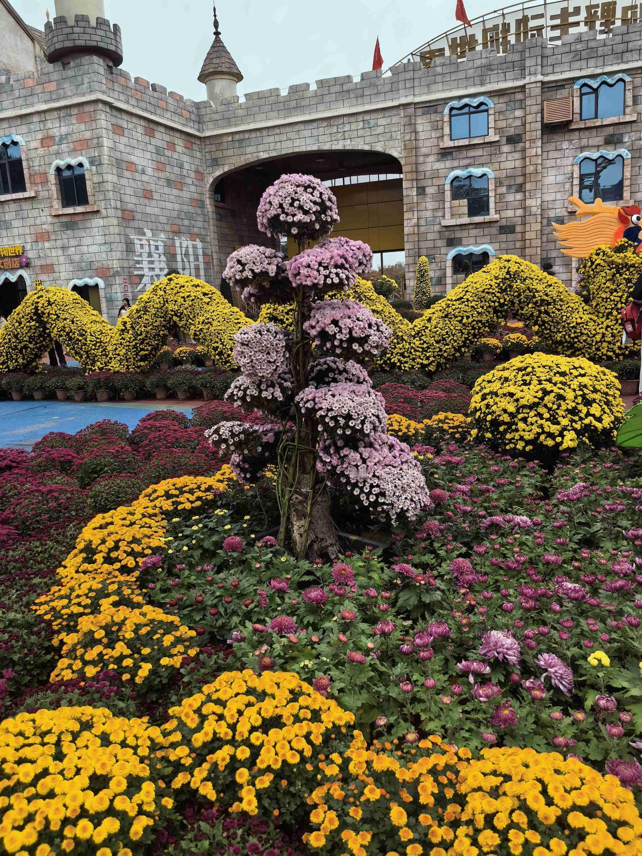 我的今日状态：🏝️旅行度假我这里的天气：☀️晴天趁天气好，带孩子去动物园