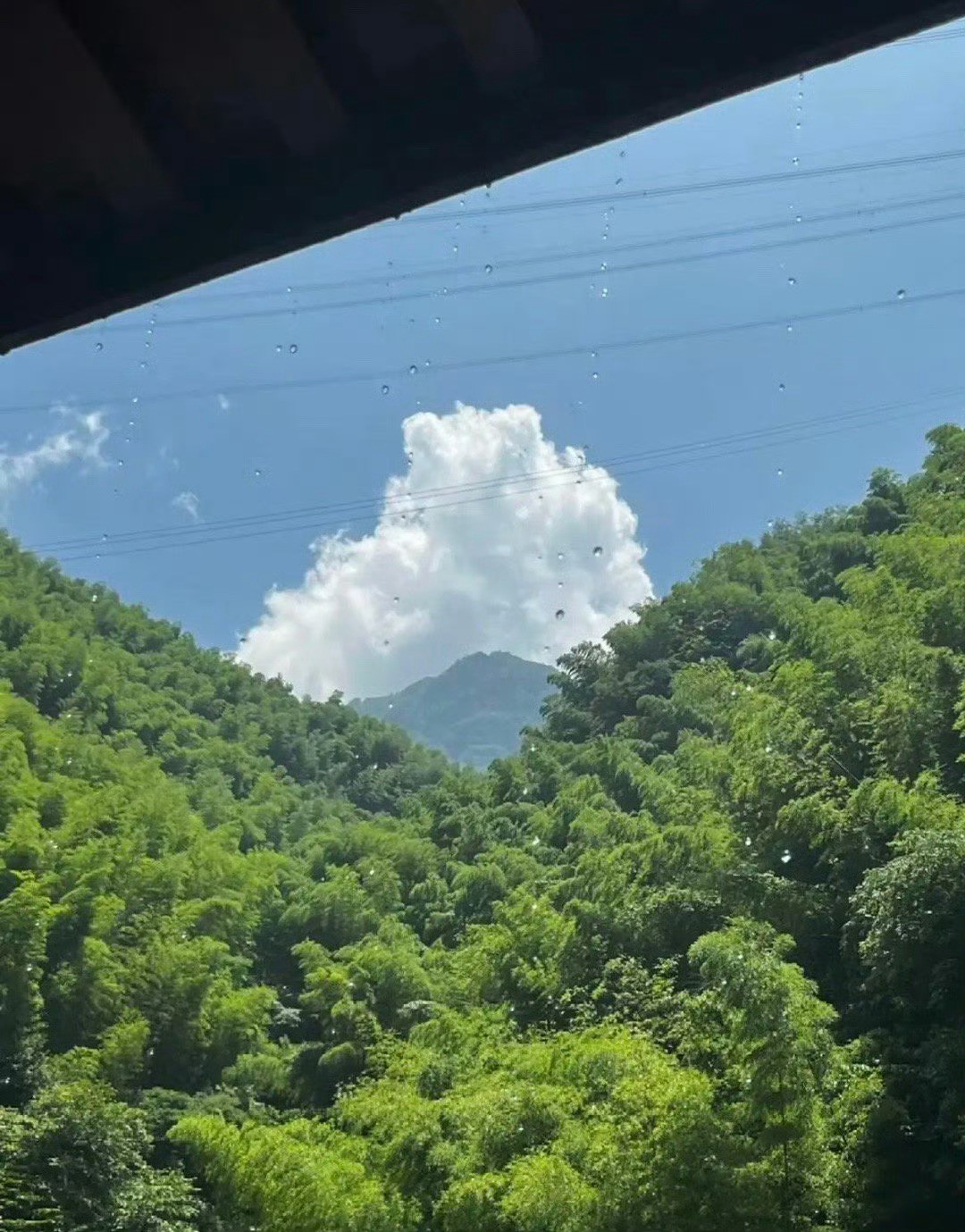 朋友嫁的很好为什么我会嫉妒​​​