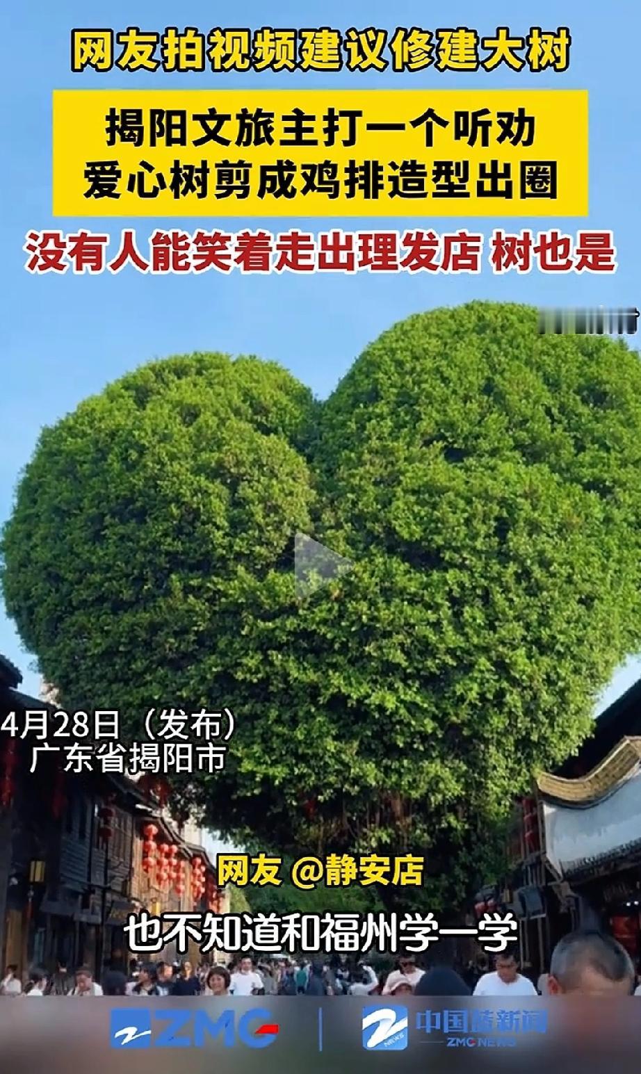 越努力越心酸！广东揭阳，文旅听取网友提议，打算把城隍庙门口的大树，修剪成爆火的爱