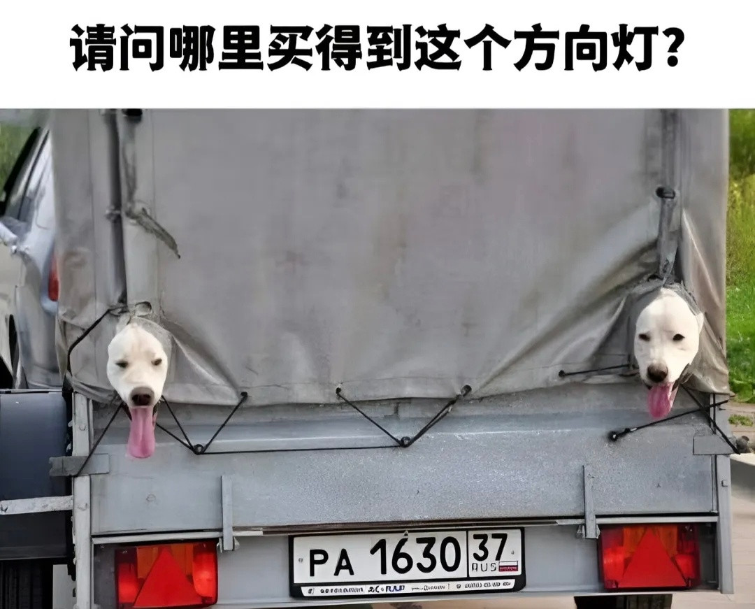 [doge][doge]memes​​​