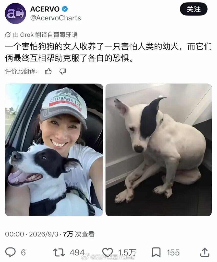 网友投稿图片选集​​​