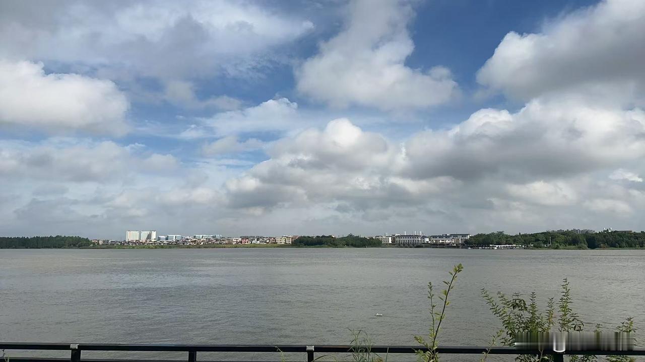 普通打工人其实是最能存下钱的，一个月就那么点工资，上有老下有小，还要还房贷