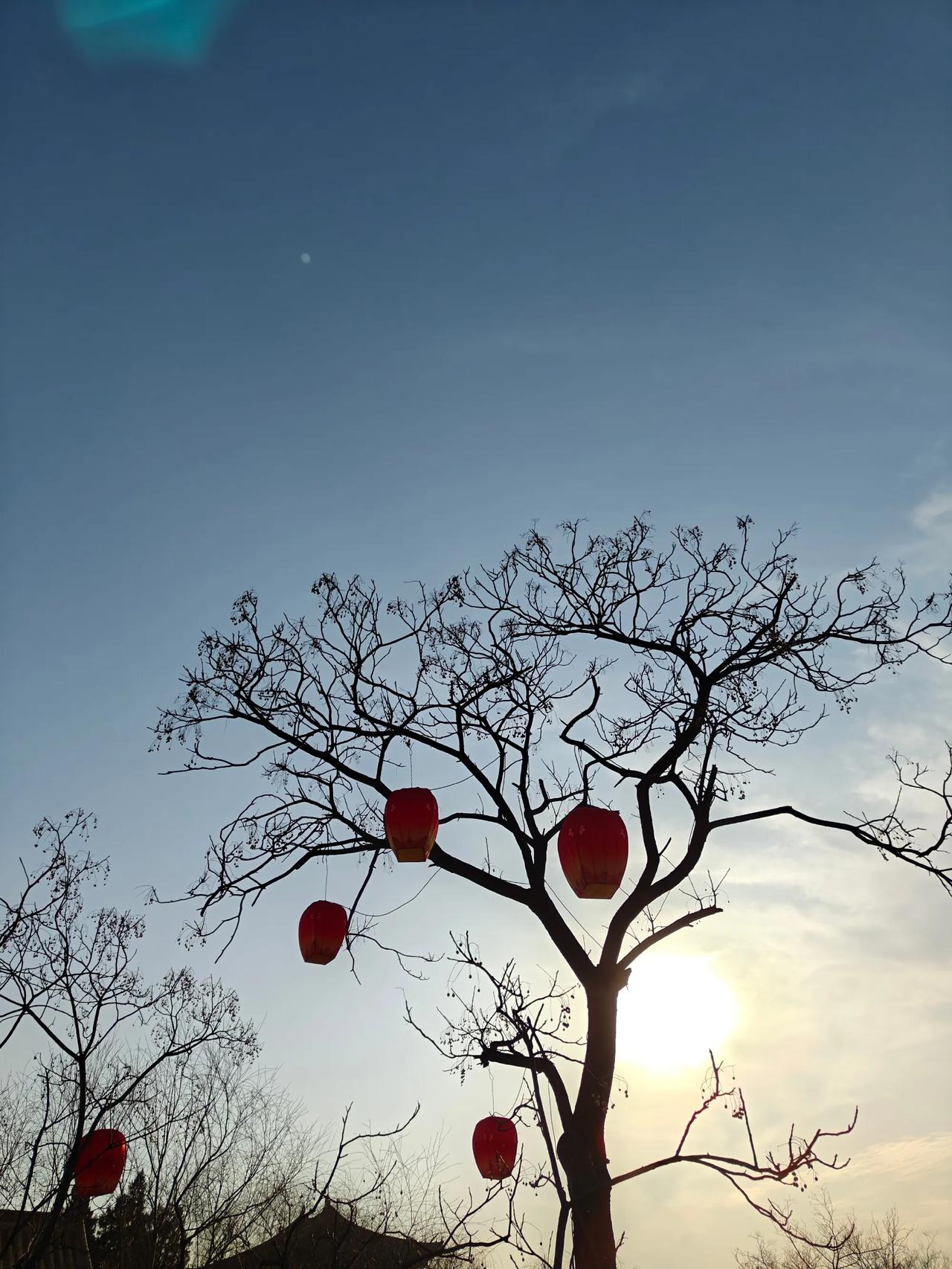 今日运势：乙巳年戊寅月丙辰日2025.2.16日鼠：大吉财运大旺牛：小