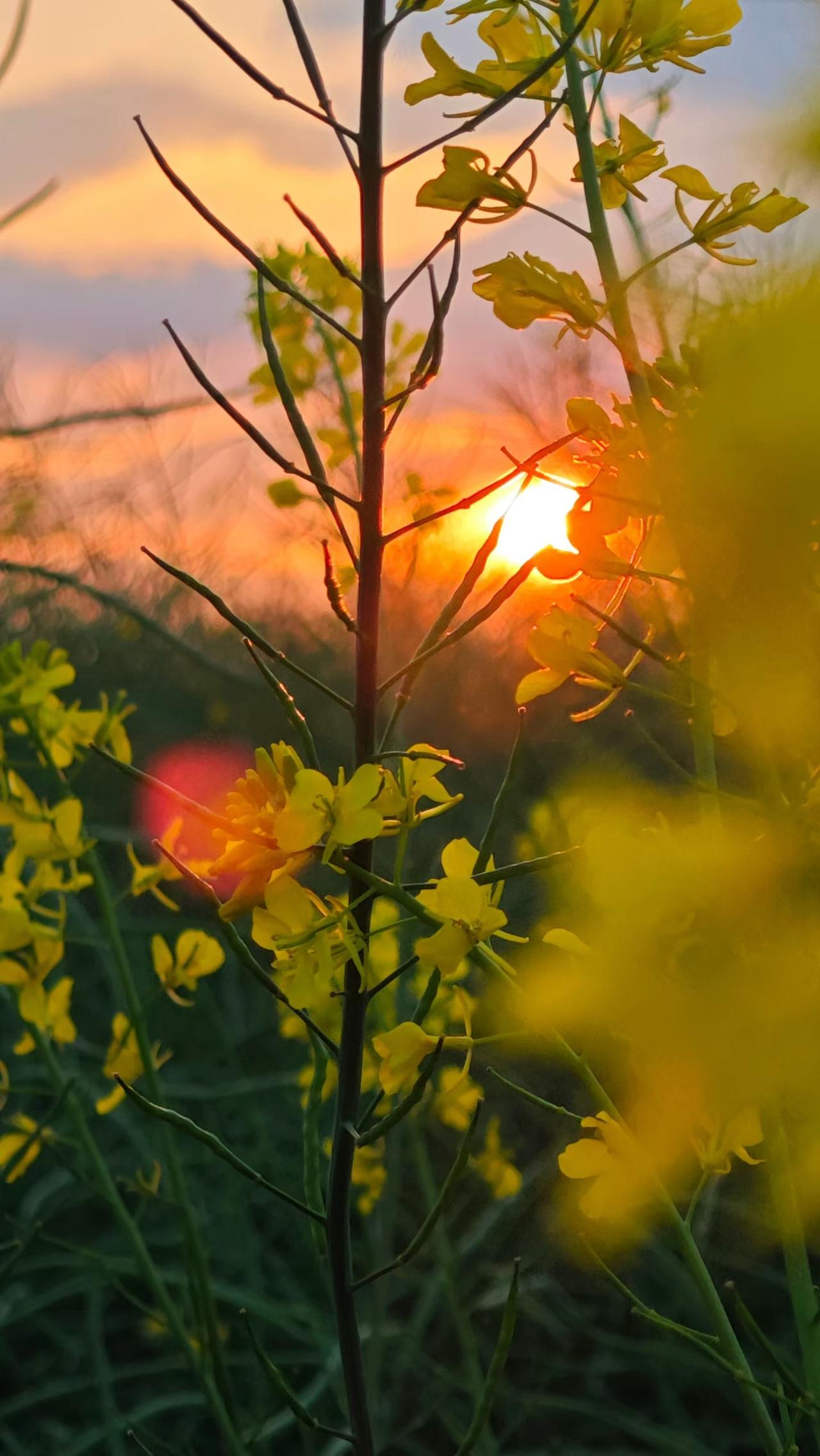 做人做事一定要保存底线价值思维。什么叫底线价值思维？就是不管什么时候，把你做