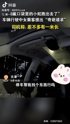 “这要求太无理了！”天津一司机行驶过程中，女乘客突然要求停车，让司机帮她找个东西