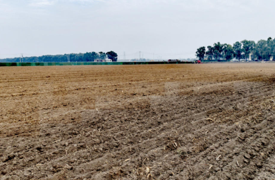 马上立冬, 山东抢抓20天窗口期播种冬小麦