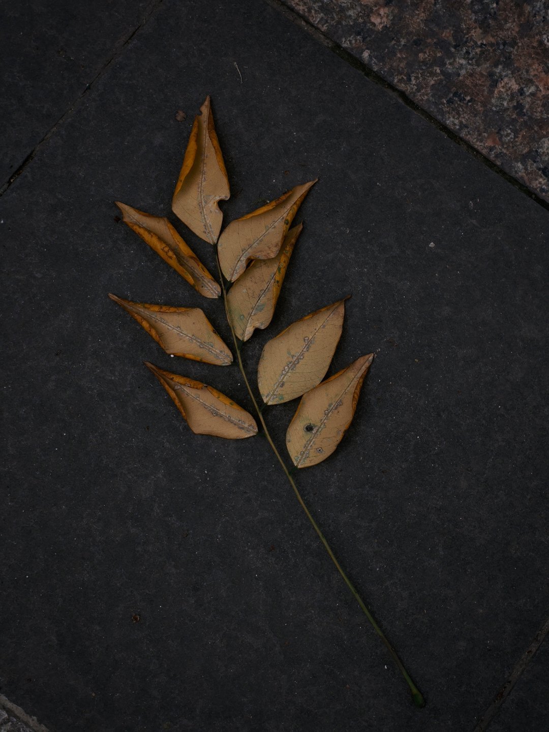 一转眼，4月了啊。