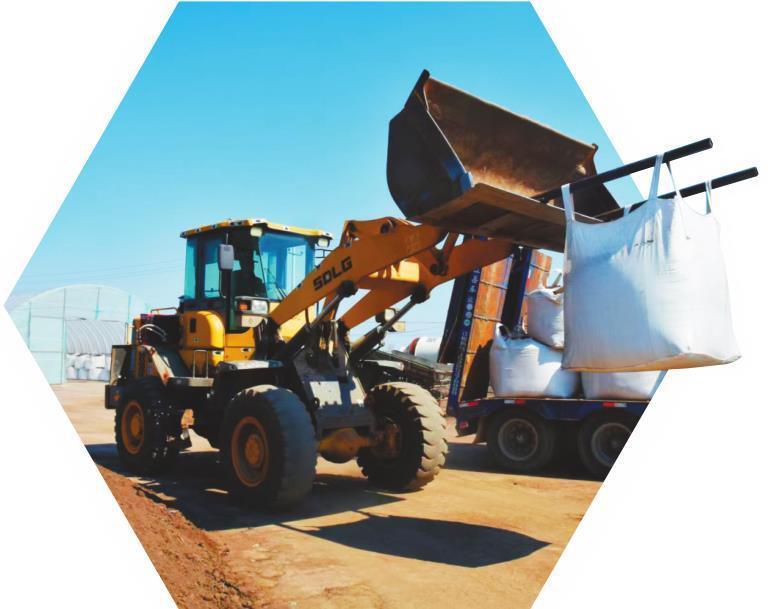 “神器”育秧提升效率20%