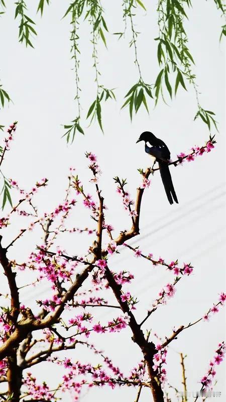 上联燕唤桃枝诗已醒;下联:童吹叶笛画能成。友友请邀下联友友请出上联