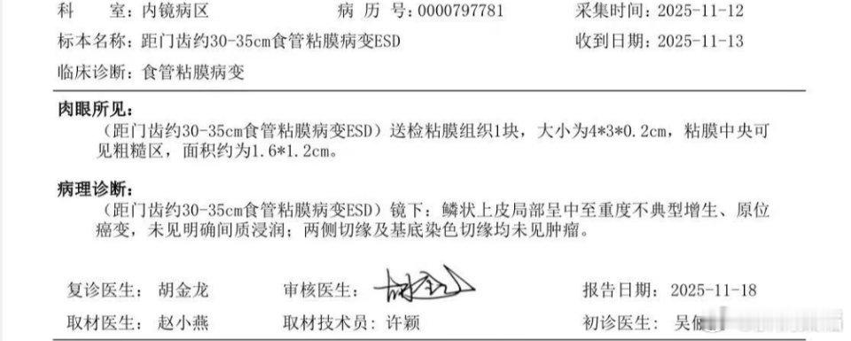 对于肿瘤性病变，病理最重要的指标就是看切缘是否阴性