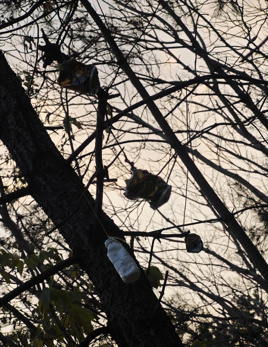 是公园还是地狱👹🎯（图末慎看）多美的公园平时最爱在林间小道看看飞鸟逗