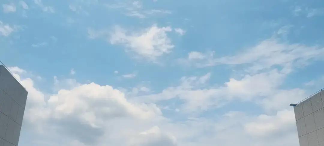 老公被打后，我弟弟总说要叫几个人去教训那个打人的。我拦着他，家里这点事，不能