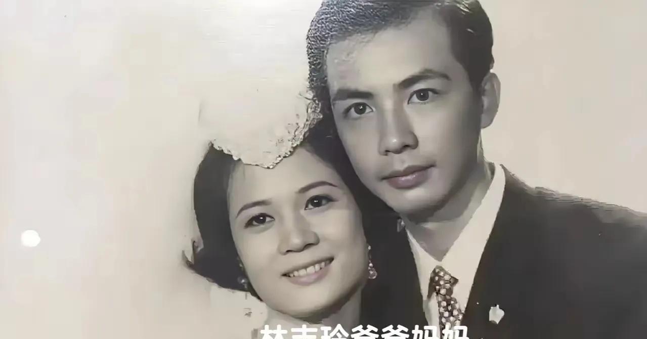 林志玲的家庭成员包括父母、哥哥和她自己的小家庭，以下是对他们今夕状况的介绍：林