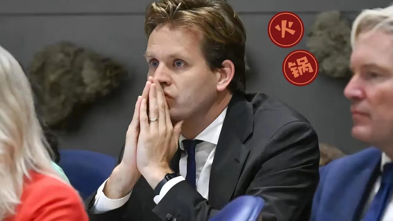 12月17日，中方终于出手了，荷兰没收中企股份尝到后果！当天中方正式发布对原产