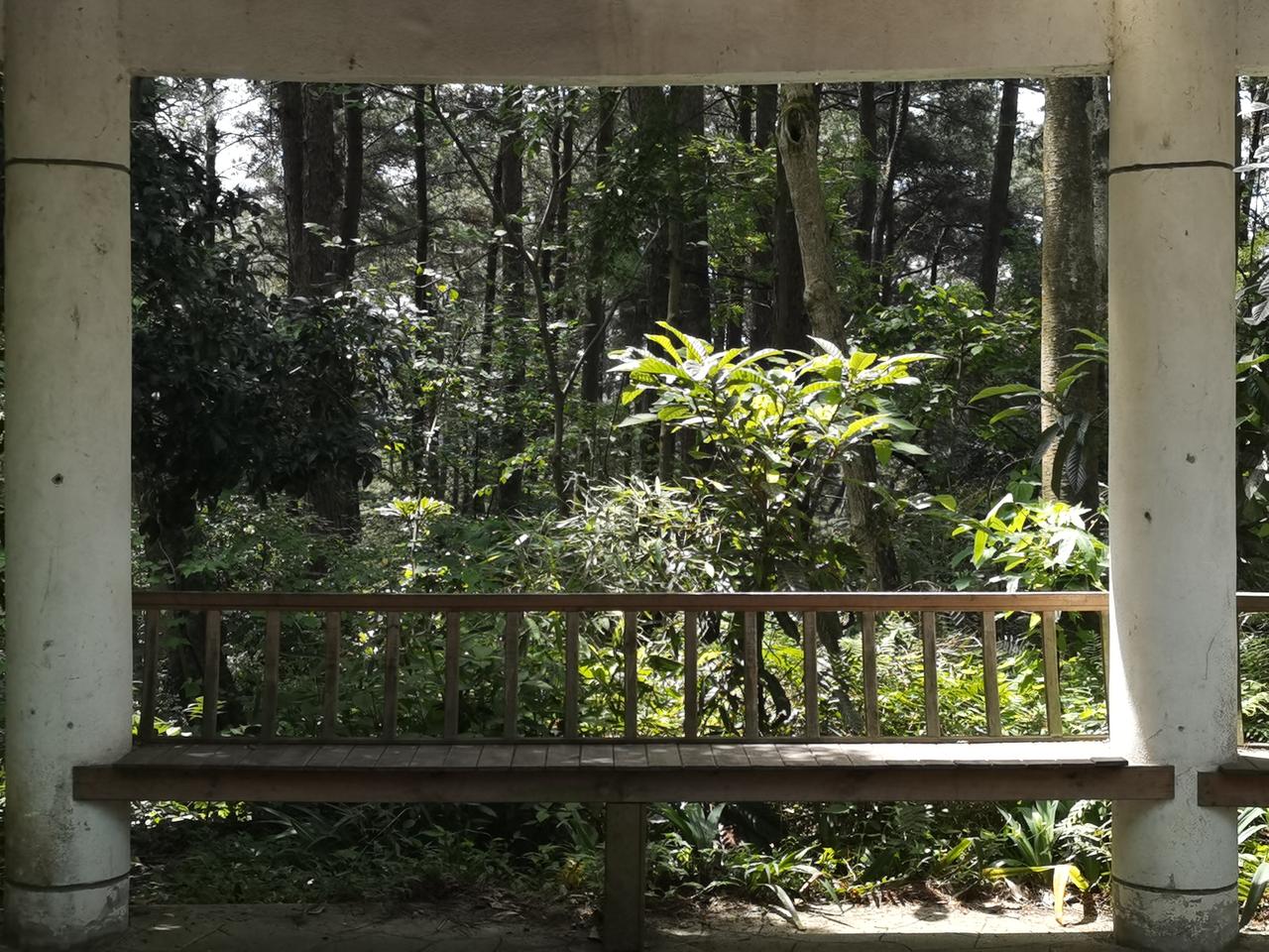 漫步贵阳——森林公园去机场的途中，顺路在贵阳森林公园走了几步。公园的景，满眼的