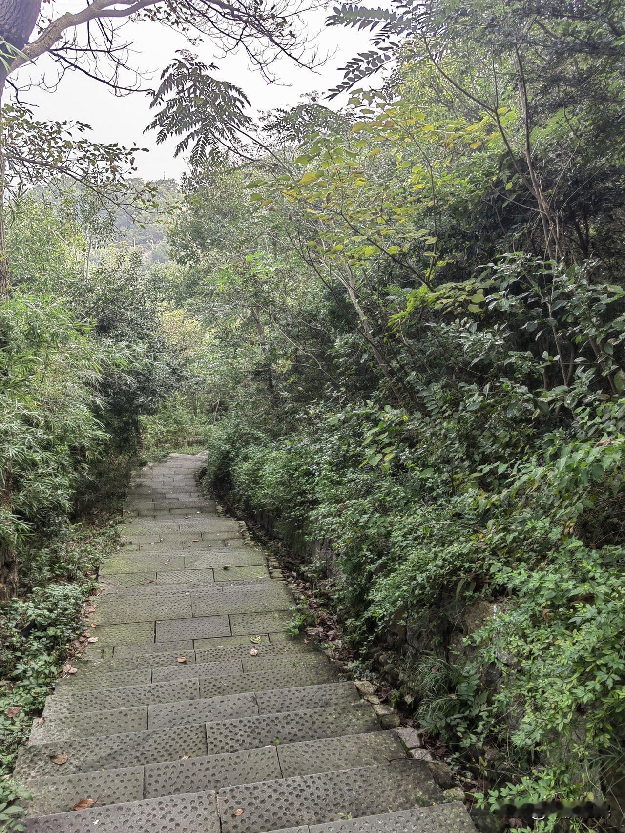 爆雷的婚外情国庆节期间，小区发生了一起凶杀案。凶手老婆出轨小区