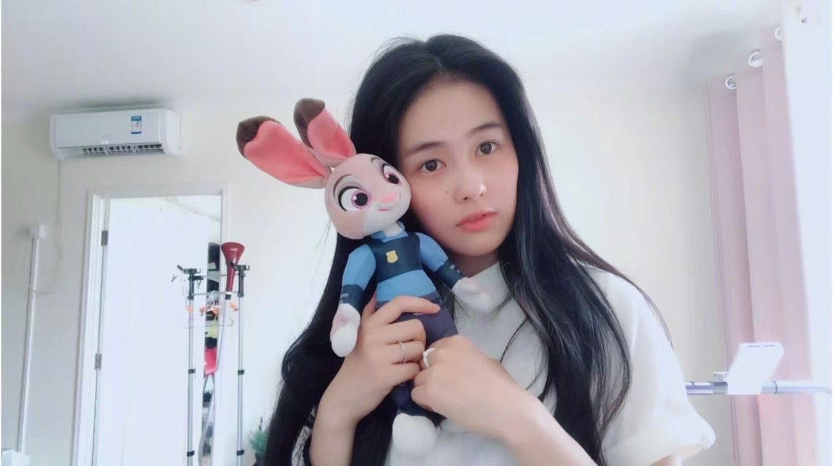 白鹿狐狸塑自带灵光buff白鹿看似朱迪实则尼克什么？白鹿的动物塑从“朱迪兔”升