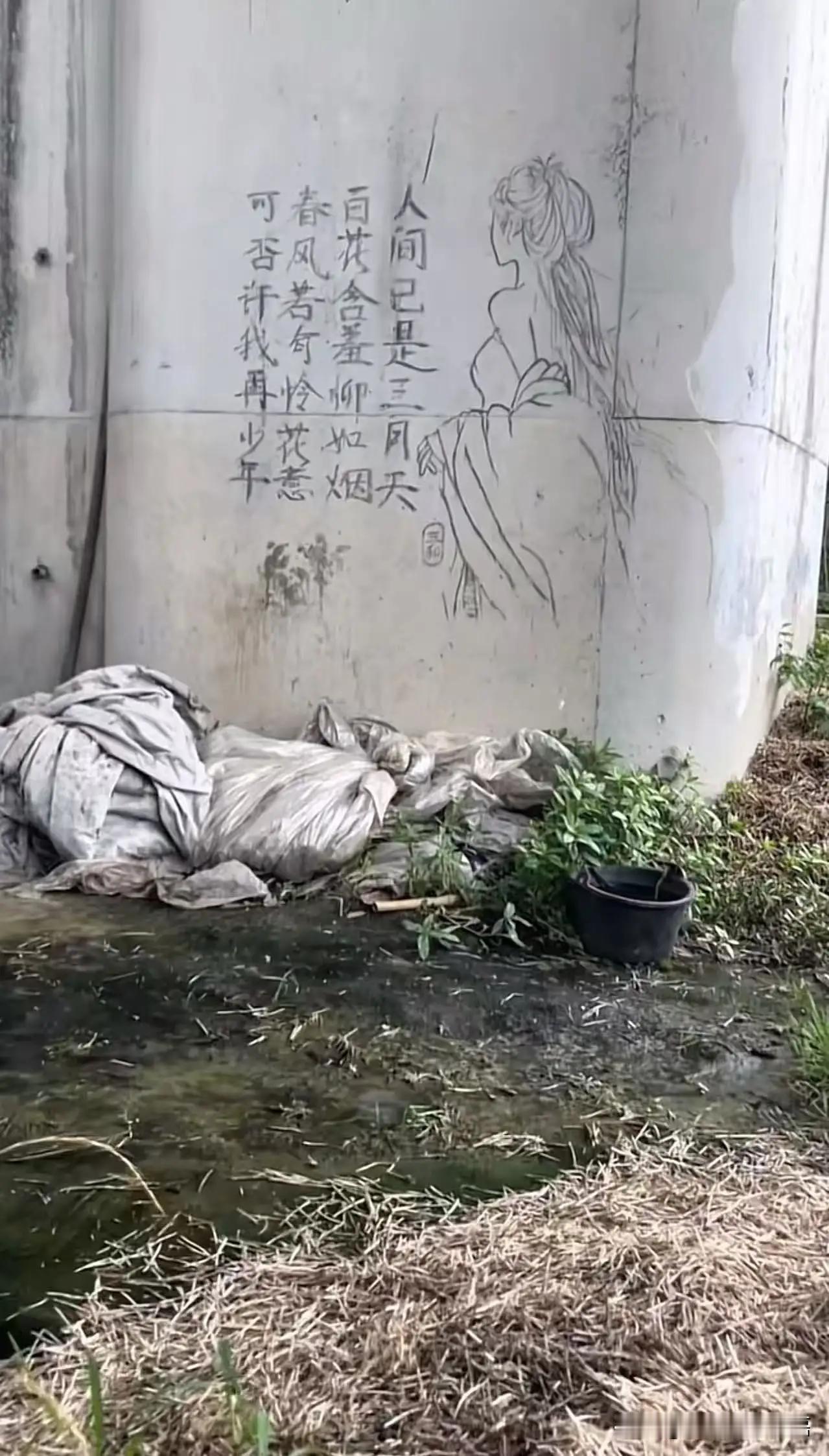 “当代网友真的是太有才了！”一位网友在桥洞下拍到三合大神随手在墙上写下的诗句：“