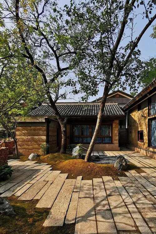 腊月二十七这天，老张起了个大早。他把院子里里外外扫了三遍，连墙角的蜘蛛网都捅