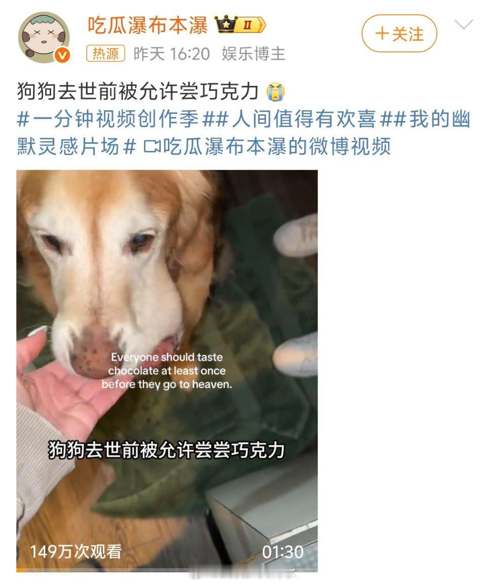 狗狗去世前被允许尝巧克力有什么必要呢，真的会有人在临死前为没尝过砒霜而感到遗憾吗