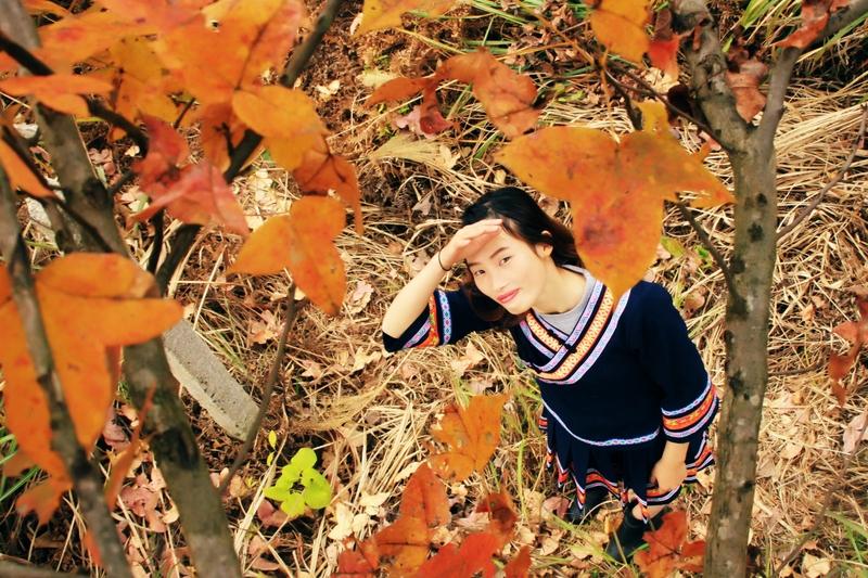 一张图证明秋天来了一张图证明秋天来了，我脑海里立马浮现那绝美画面。就像有张图里