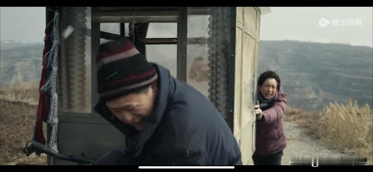 胡三元终于在年老的时候接住了花彩香。两个人像两只年纪大后没用的老狗，在没有利用价