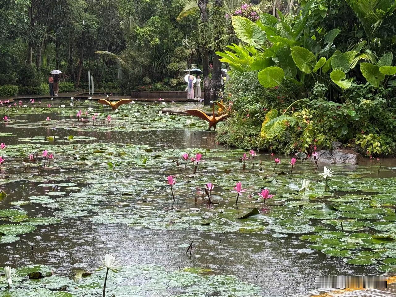 你作为单位的中层，有没有感觉每天特别忙，开会、派活、催进度，恨不得把自己掰成两半