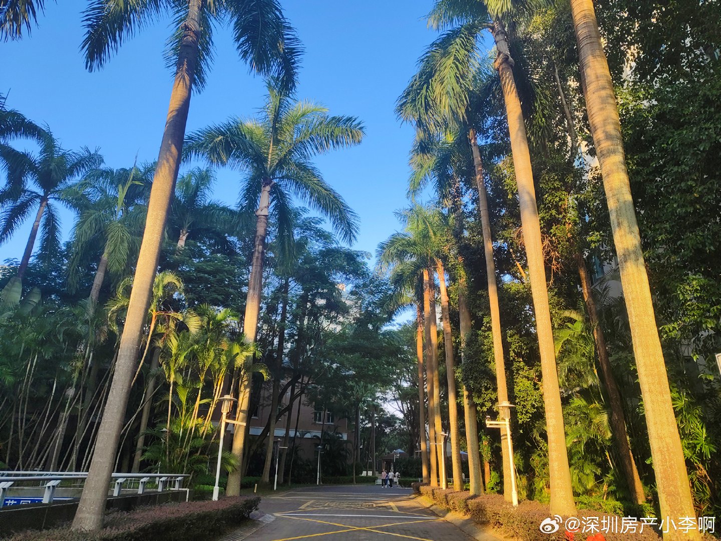 香榭里花园稀缺顶复昨日法拍已成交香蜜湖传统豪宅区香榭里花园小区8栋2002房，产权226.78平，顶