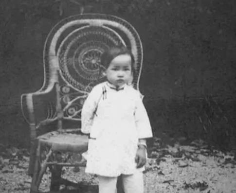 1907年，林徽因母亲何雪媛对公婆说:“我生了儿子，要请奶妈。”公婆说不行。何雪