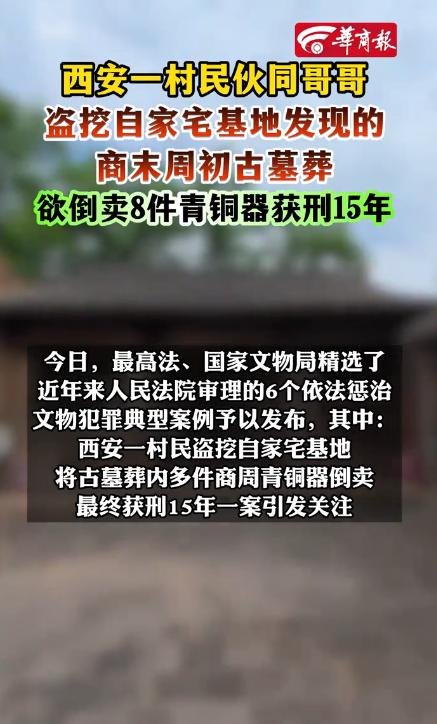 看懵了！10月12日报道，山西一村民，闲着无事清理自家的柿子树根，可却意外发现了