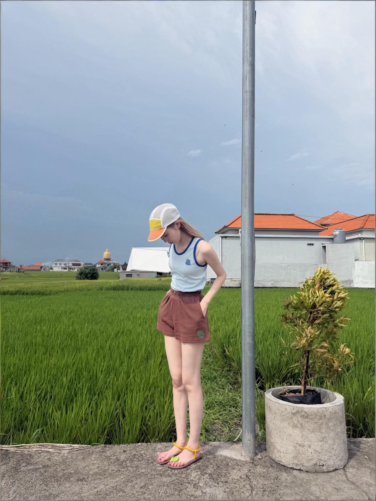 这环境真的是太舒服了