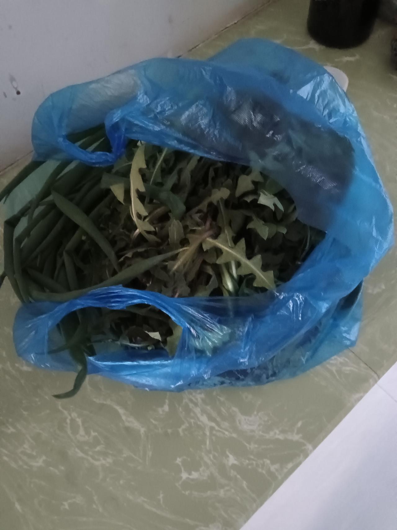 昨天当老师的小姑子回娘家来看90岁的老妈，看就给拿点这些菜。进屋之后就夸这菜