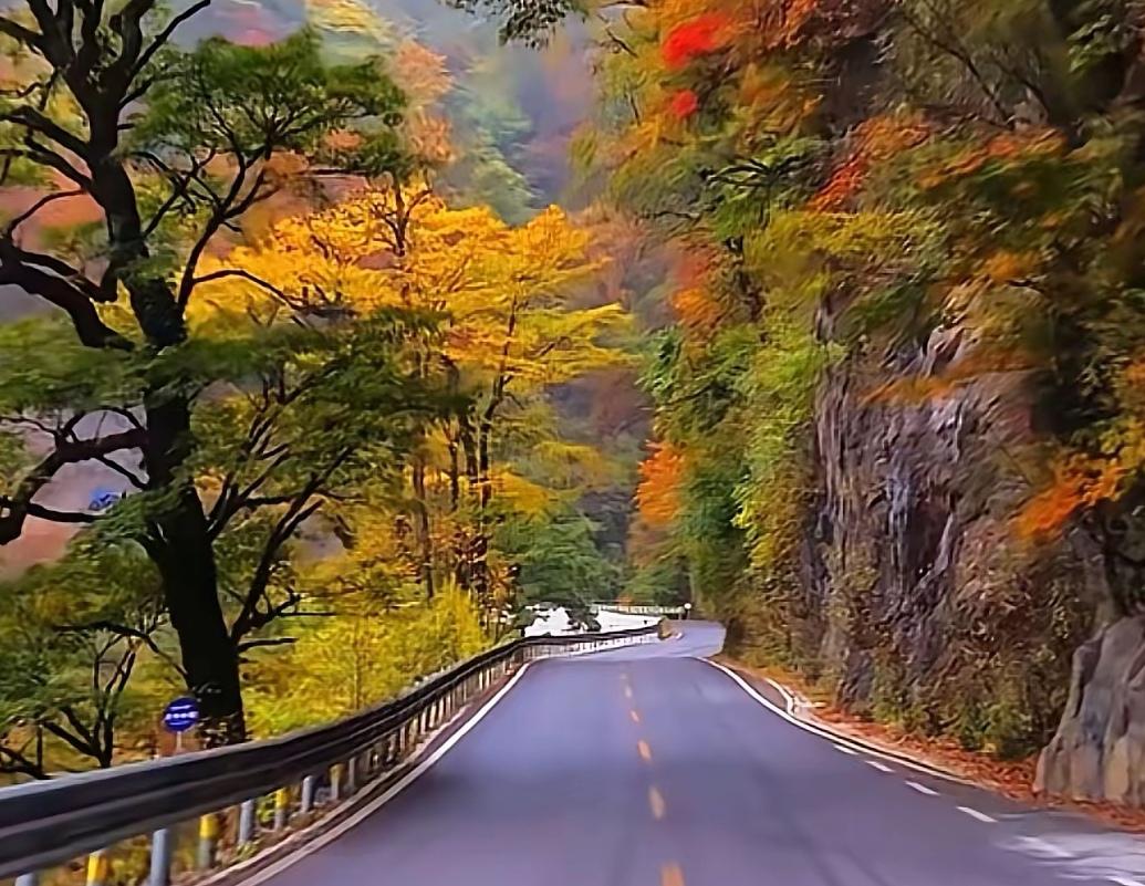 语数外在高考中的地位1.数学是开路先锋。数学一考，能不能上大学很清楚，数学烂的