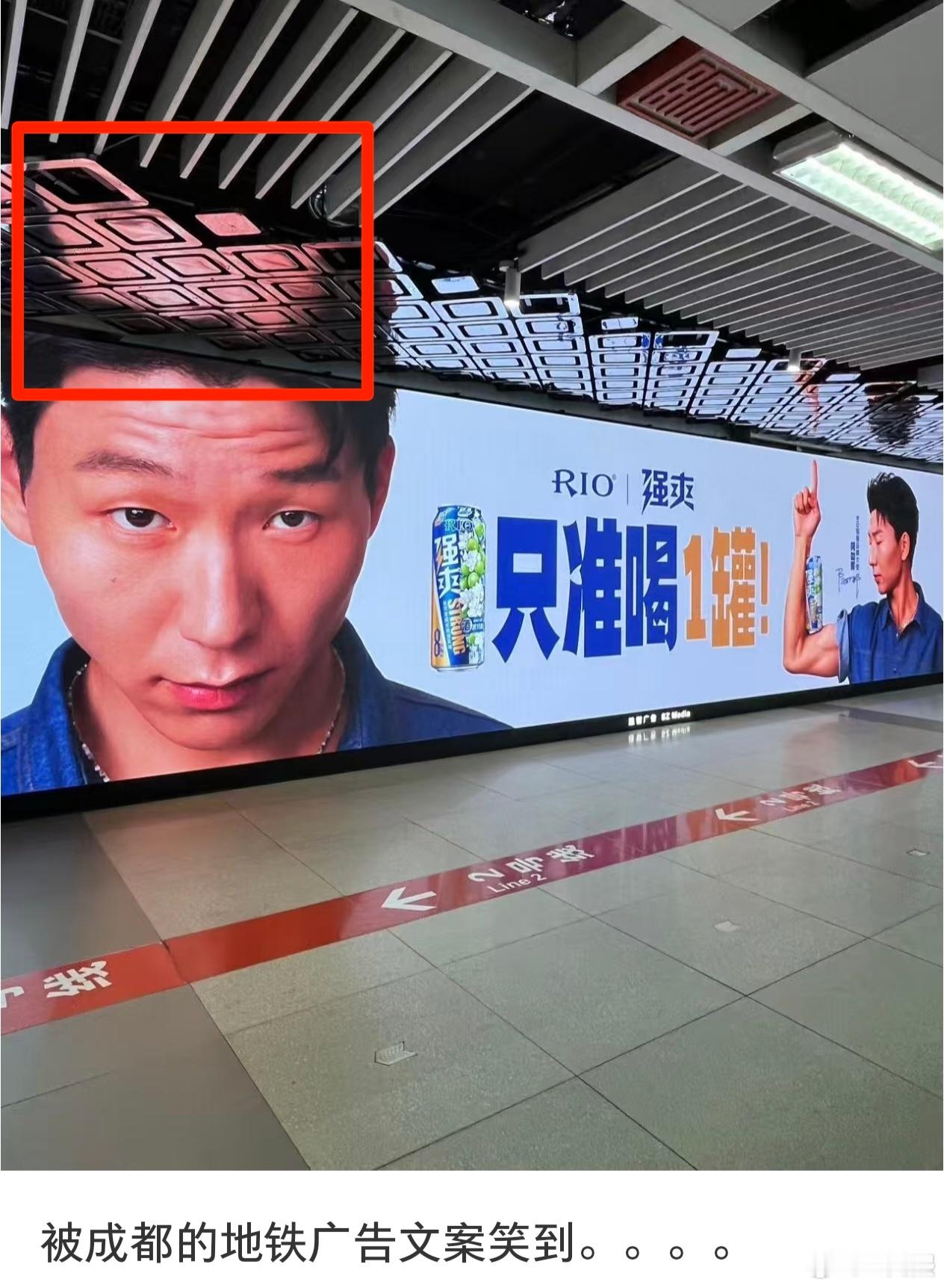 喝多会变地中海[doge]？​​​