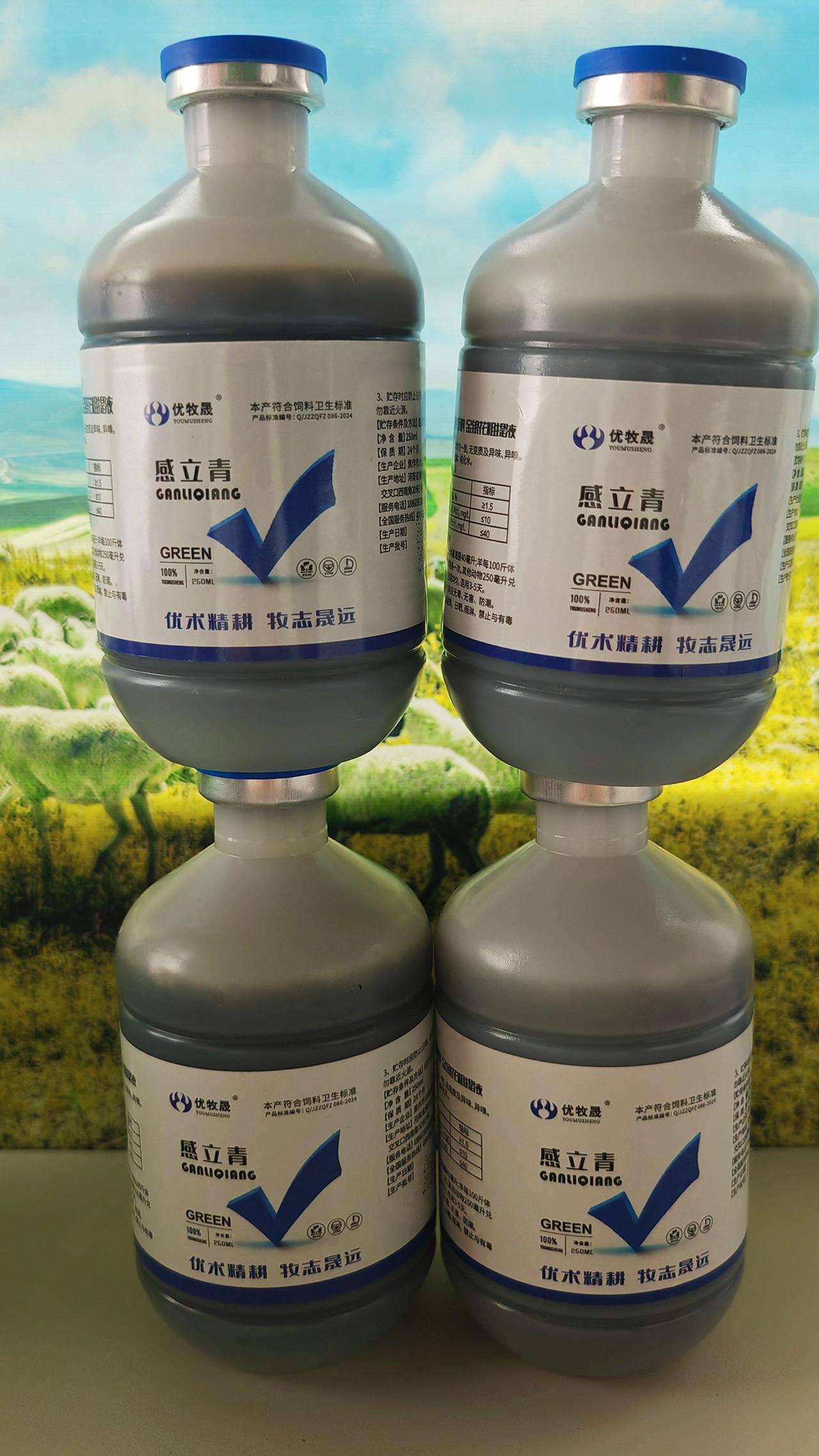 养羊人农村养羊牛羊养殖