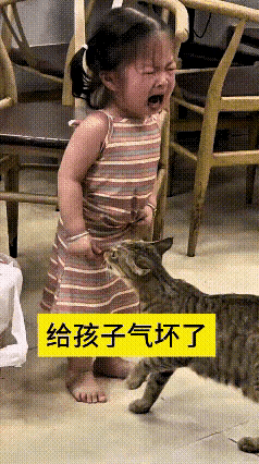 这段视频我反复看了好多遍，实在让人忍俊不禁。小姑娘手里拿着饼干，猫咪凑上前叼走一